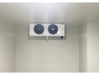 上海疾控中心自動(dòng)化醫(yī)藥陰涼庫工程建造方案