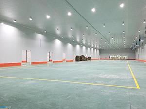物流冷庫(kù)建造完工內(nèi)景圖