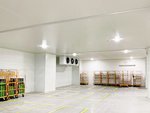保鮮冷庫(kù)建造完工圖片