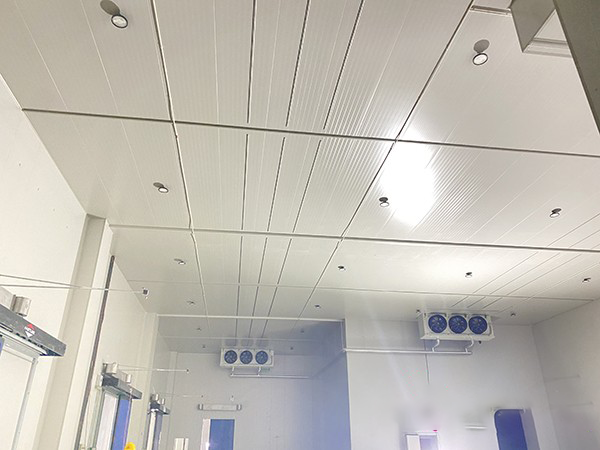 大型冷庫(kù)建造工程設(shè)計(jì)方案