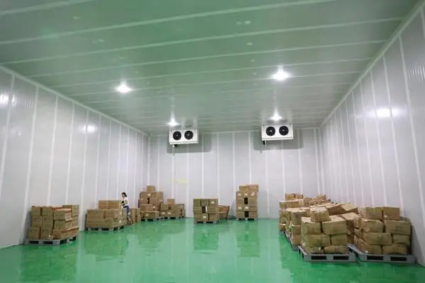 大型物流冷庫(kù)工程施工方案設(shè)計(jì)規(guī)范標(biāo)準(zhǔn)