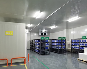 建一個(gè)專業(yè)診斷試劑冷庫造價(jià)費(fèi)用成本多少錢？