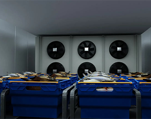 安裝10000平生鮮電商冷庫有哪些因素會影響投資預(yù)算？