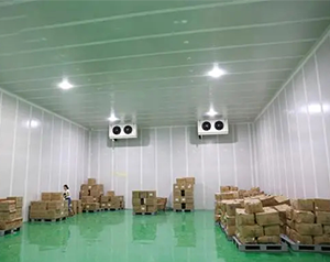 4500㎡藥品冷鏈物流冷庫設(shè)計方案，冷庫預(yù)算多少錢