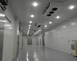 gsp醫(yī)藥冷庫(kù)（疫苗冷庫(kù)）建造多大面積合適