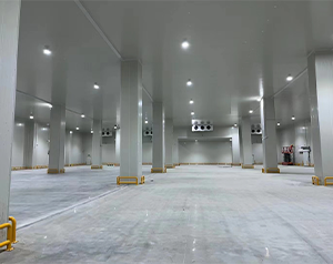 你知道未來哪種冷庫更有市場潛力，有“錢”景？