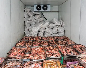 舌尖上的漁業(yè)制冷-海鮮、魚類冷庫