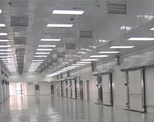 江西大型物流冷庫運(yùn)營方案
