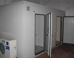 湖北大中型肉品冷庫建造需要什么條件?style=