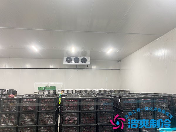 果蔬保鮮冷庫建造價格