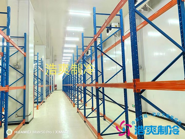 專業(yè)藥品冷庫(kù)設(shè)計(jì)安裝