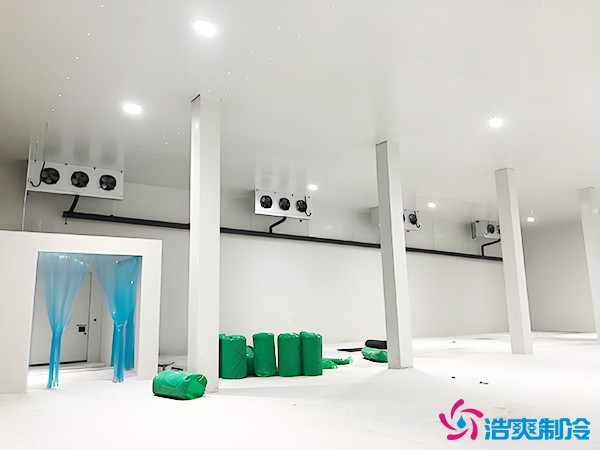 建造萬噸級大型冷庫造價大概多少錢？萬噸冷庫造價影響因素
