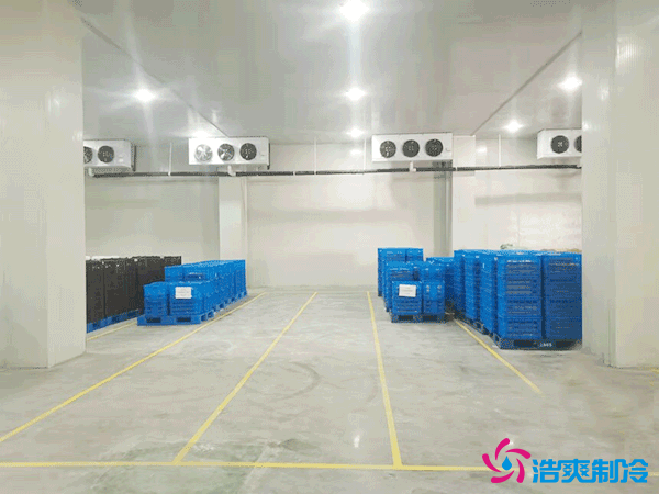 建造萬噸級大型冷庫造價大概多少錢？萬噸冷庫造價影響因素