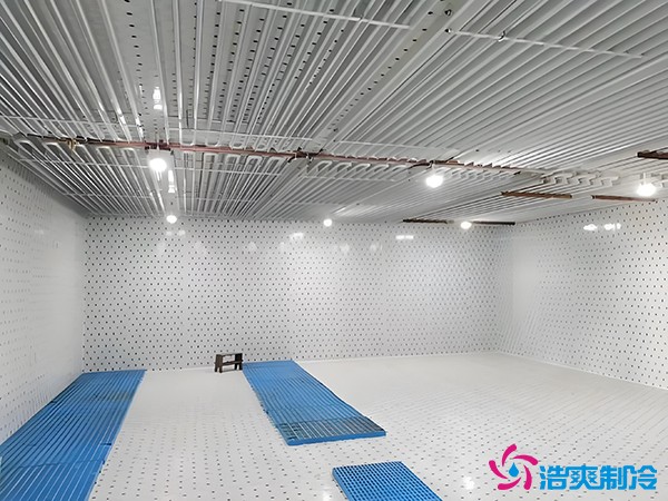 建個冷凍庫要多少錢？冷凍庫每平方米的造價標準