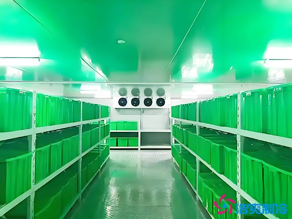 藥品批發(fā)企業(yè)冷藏庫(kù)平方面積要求多少？1000平藥企冷庫(kù)造價(jià)