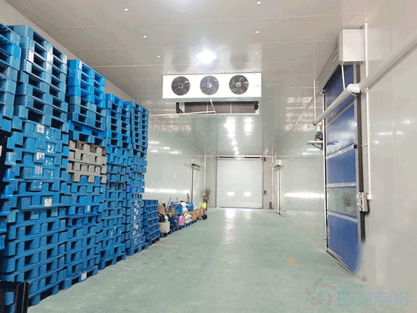 想建一個(gè)市級配送中心冷庫建設(shè)成本大概多少錢？