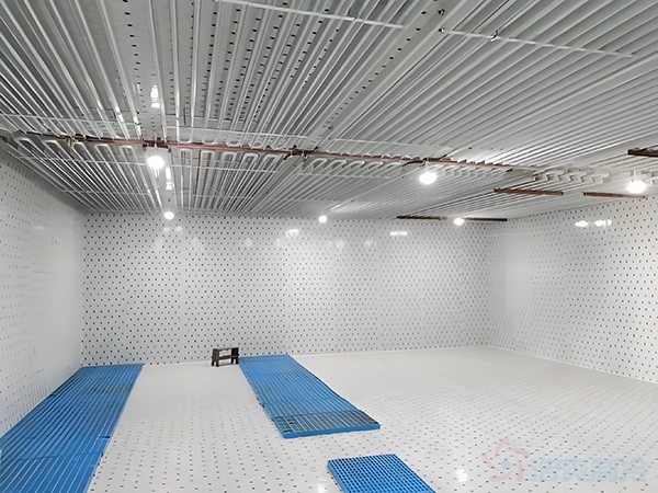 箭齒鰈魚片冷藏庫儲藏條件，箭齒鰈魚冷庫溫度要求