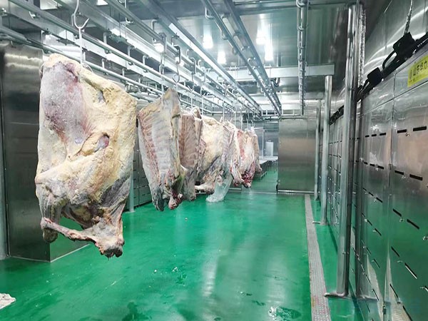 建造一個畜禽屠宰專用冷庫造價標(biāo)準(zhǔn)多少錢
