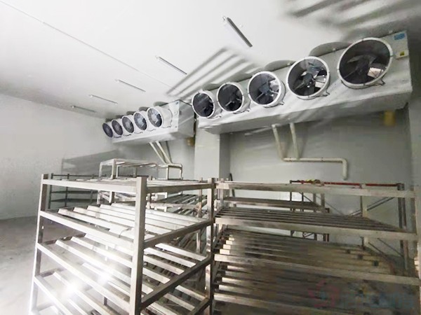 建造1000立方冷凍庫配多大壓縮機(jī)？造價預(yù)算多少錢？